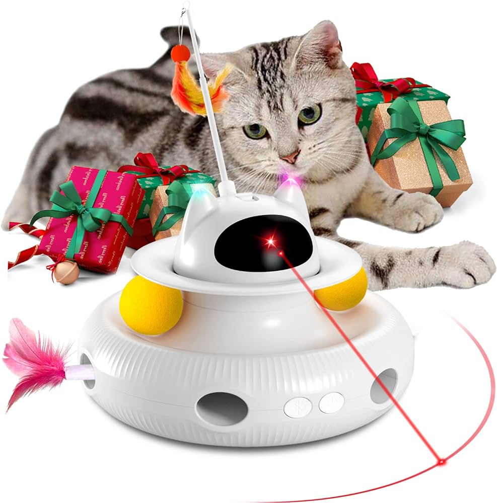 interactive  cat toy