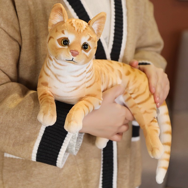 cat plush toy